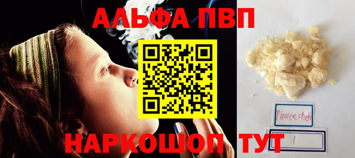 Альфа ПВП СК КРИС Кингисепп