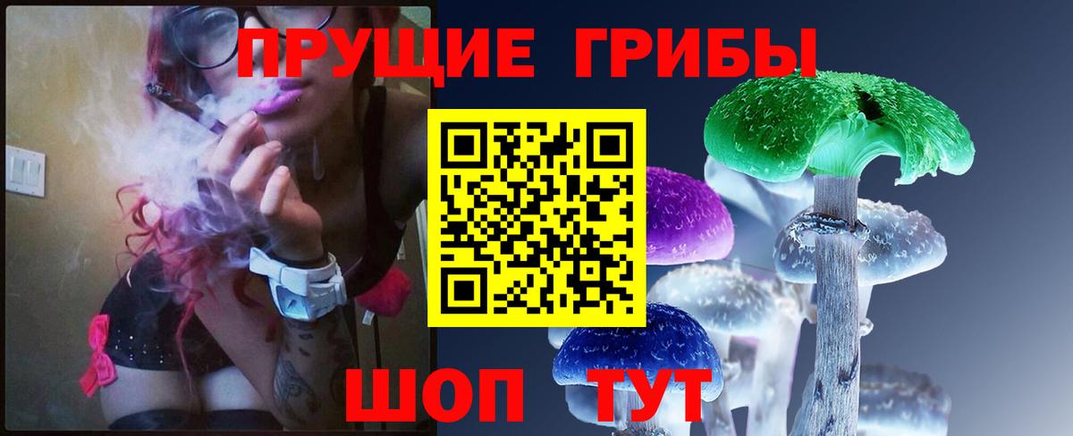Галлюциногенные грибы Psilocybe Кингисепп